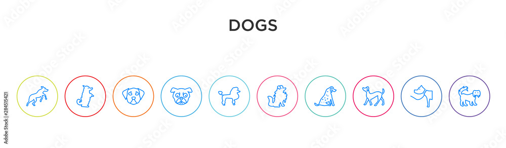 dogs concept 10 outline colorful icons