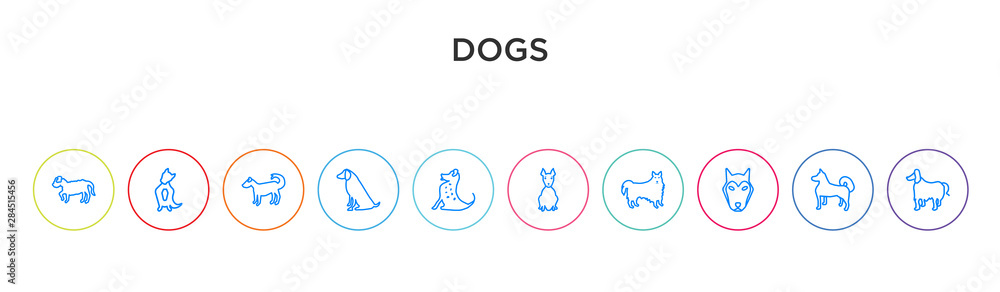 Obraz premium dogs concept 10 outline colorful icons