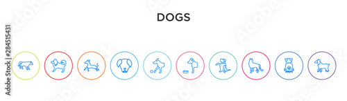 dogs concept 10 outline colorful icons