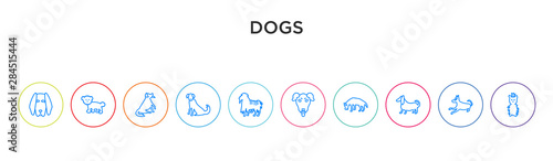 dogs concept 10 outline colorful icons