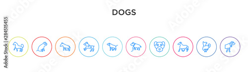 dogs concept 10 outline colorful icons