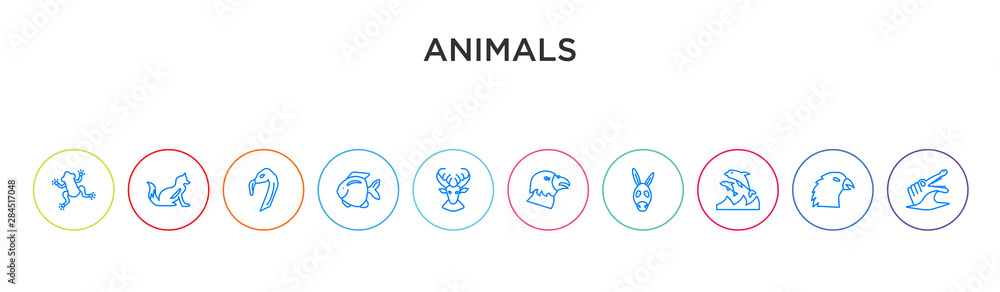 animals concept 10 outline colorful icons animals concept 10 outline colorful icons