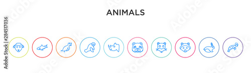 animals concept 10 outline colorful icons