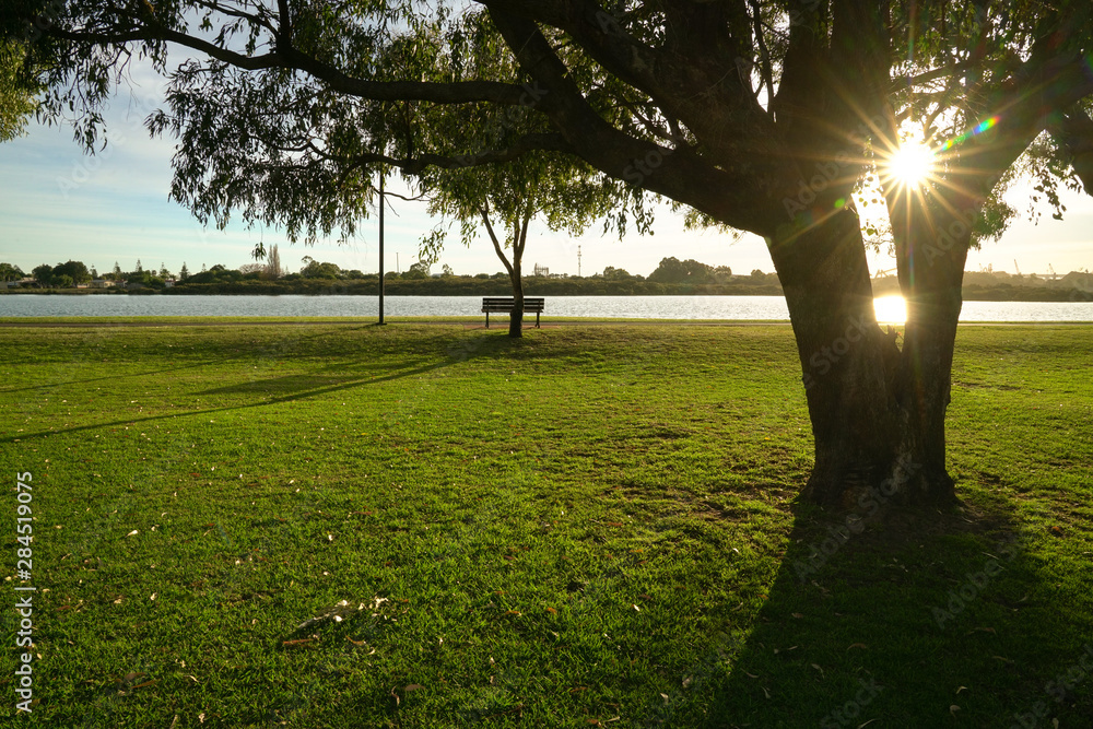Obraz premium Green park with morning light and sun rays. Nature background.