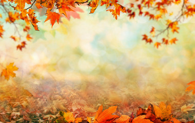 Wooden table with orange leaves autumn background