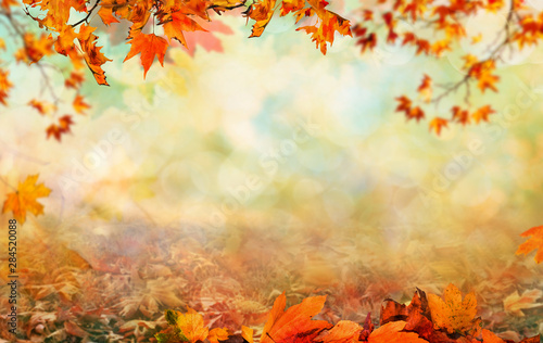 Fényképezés Wooden table with orange leaves autumn background