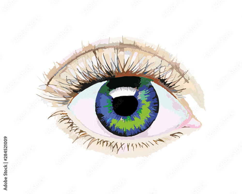 How to draw Labeled Human Eye diagram drawing / Colorful Eye Diagram - step  by step easily | Human eye diagram, Human eye drawing, How to make drawing