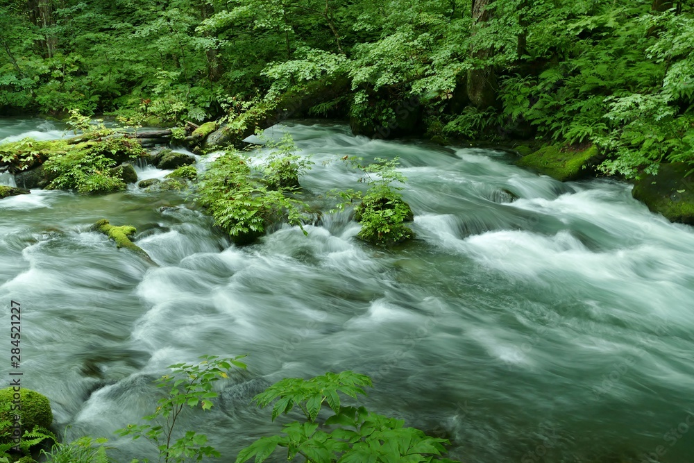 Obraz premium 《奥入瀬渓流》青森県十和田市