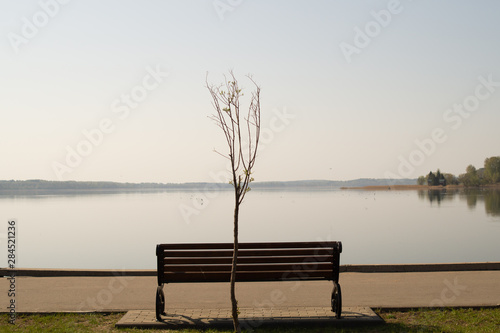 Landscape with bench on the lake shore