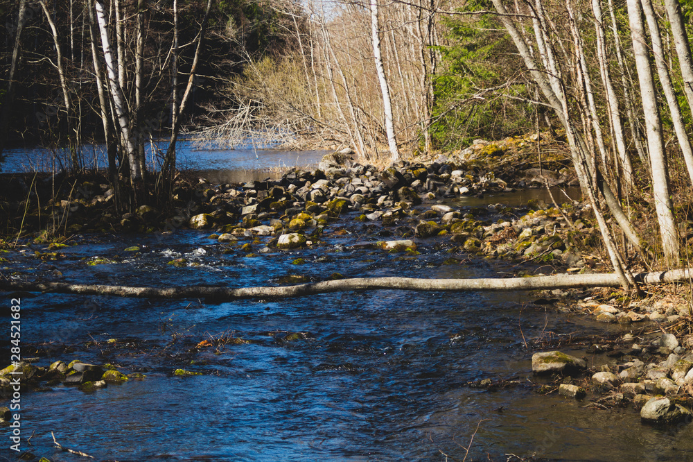 Rocky river in the forest. flowing water Rocky river in the forest. flowing water