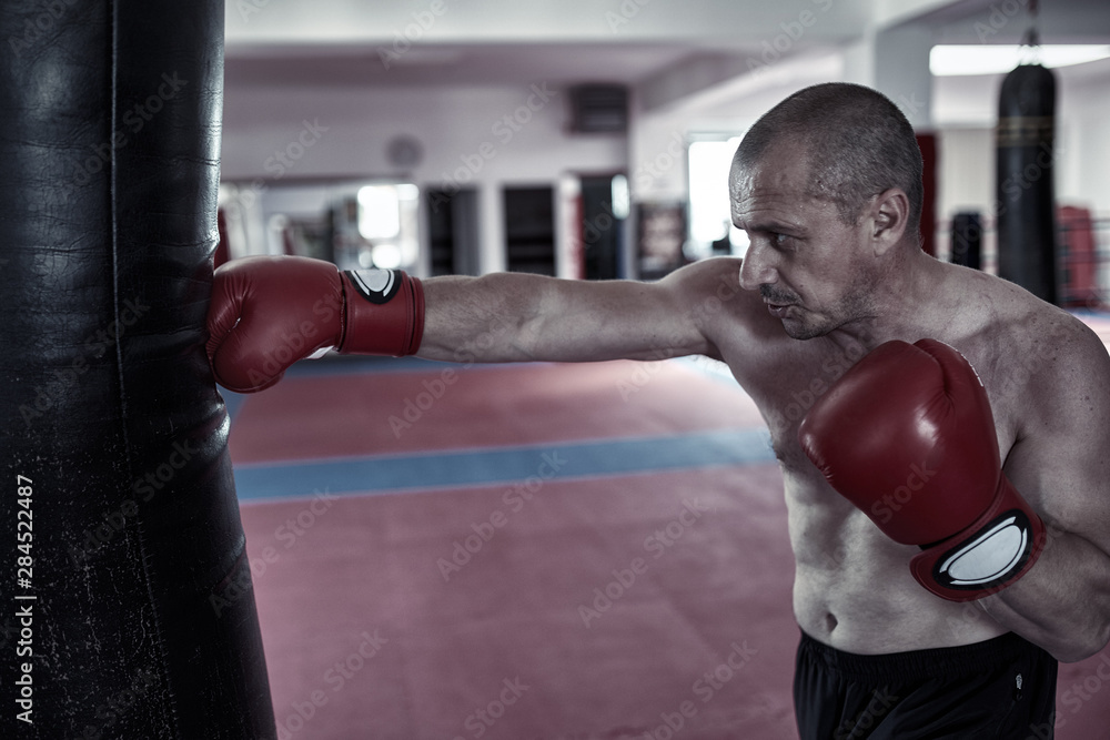 Boxer training at heavy bag