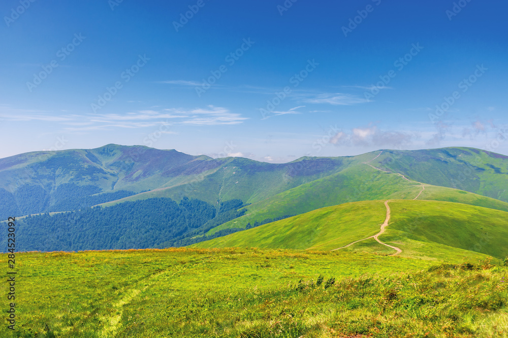 Obraz premium wonderful summer mountain landscape. beautiful green sunny scenery. path through grassy meadow on rolling hills. stoj and velykyy verkh peaks of borzhava ridge in the distance. transcarpathia, ukraine