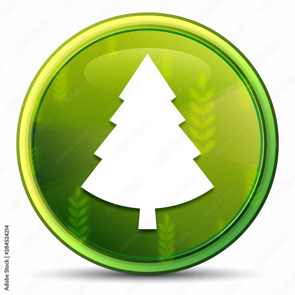Evergreen conifer pine tree icon spring bright natural green round button illustration Evergreen conifer pine tree icon spring bright natural green round button illustration