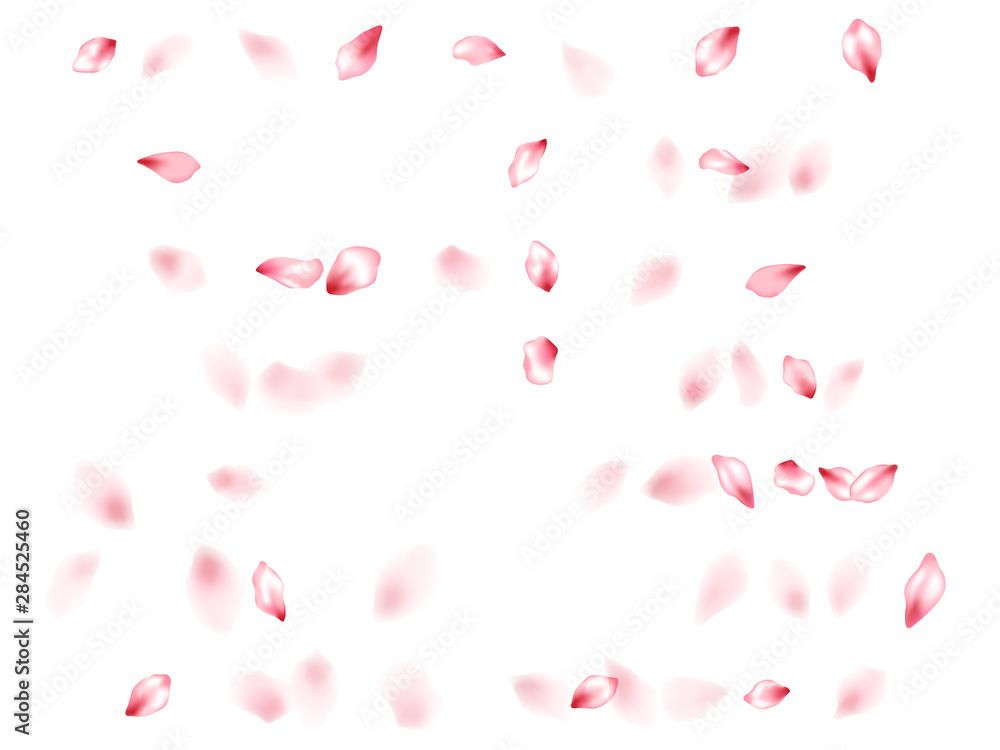 Pink sakura flower flying petals isolated on white vector background.