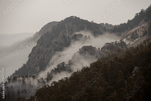 Landscape of mountain slopes with a forest photo