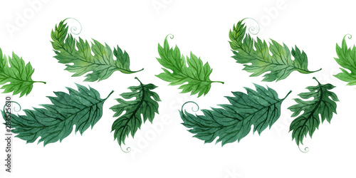 Watercolor background with stylized green leaves