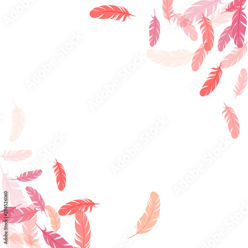 Fluffy twirled feathers on white design.