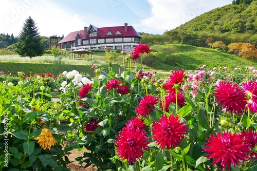 《国際ダリア園》秋田県秋田市