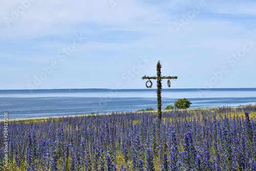 Maypole in a blossom blueweed field by the coast