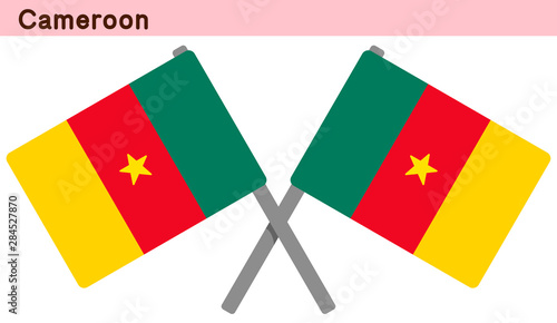 交差したカメルーンの国旗