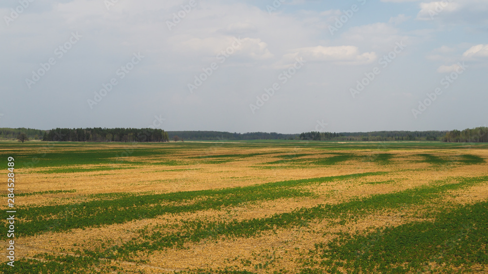 Wide field and the sky nature landscape background