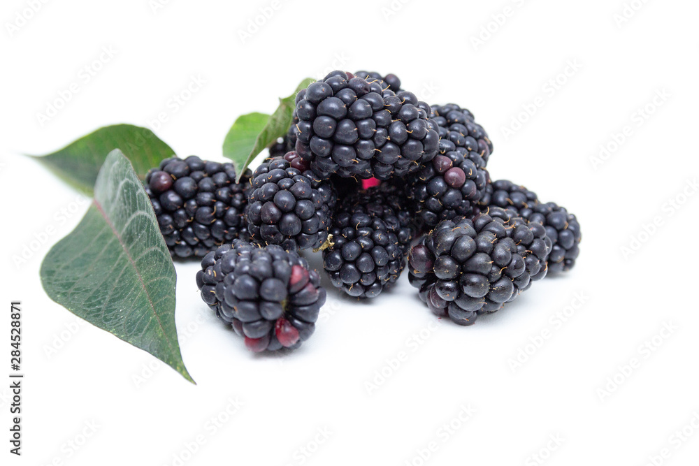 Boysenberry isolated on a white background. Boysenberry isolated on a white background.