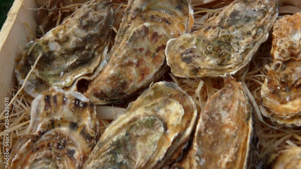 Panoramic camera movement on a box with fresh closed oysters. Panoramic camera movement on a box with fresh closed oysters.