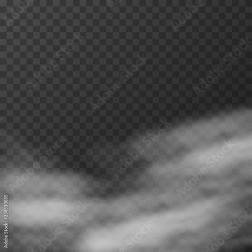 Realistic fog or smoke on the transparent background Vector