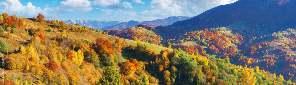 wonderful autumn panorama in mountains. trees in fall colorful foliage on the hill. clouds on the blue sky above the distant ridge. wonderful october afternoon weather. amazing carpathians