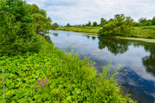 Summer landscape with a river in the countryside © olgavolodina