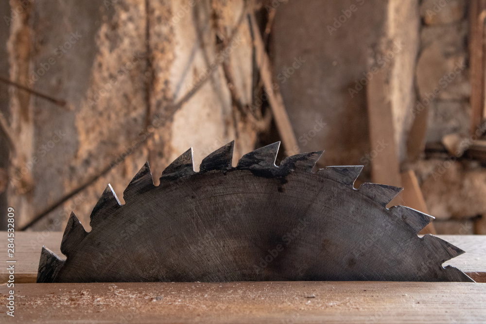 Fototapeta premium circle for woodworking circular saw machine