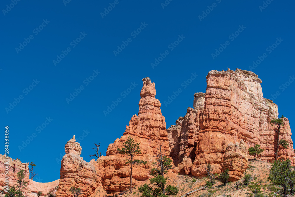 Bryce Canyon National Park low angle landscape of orange and white hoodoos and trees at Mossy Cave Trail