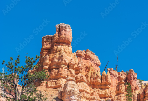 Bryce Canyon National Park low angle landscape of orange and white hoodoos and trees at Mossy Cave Trail