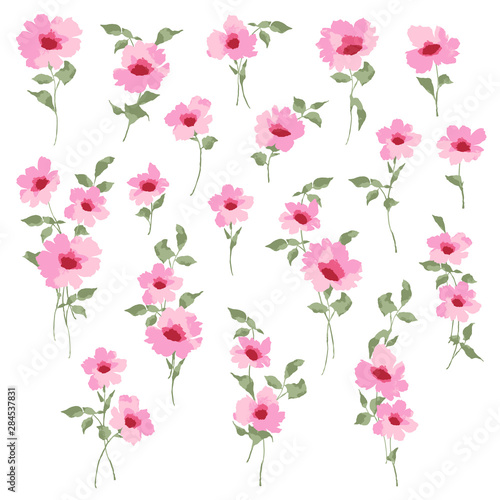 Vector illustration material of a beautiful flower