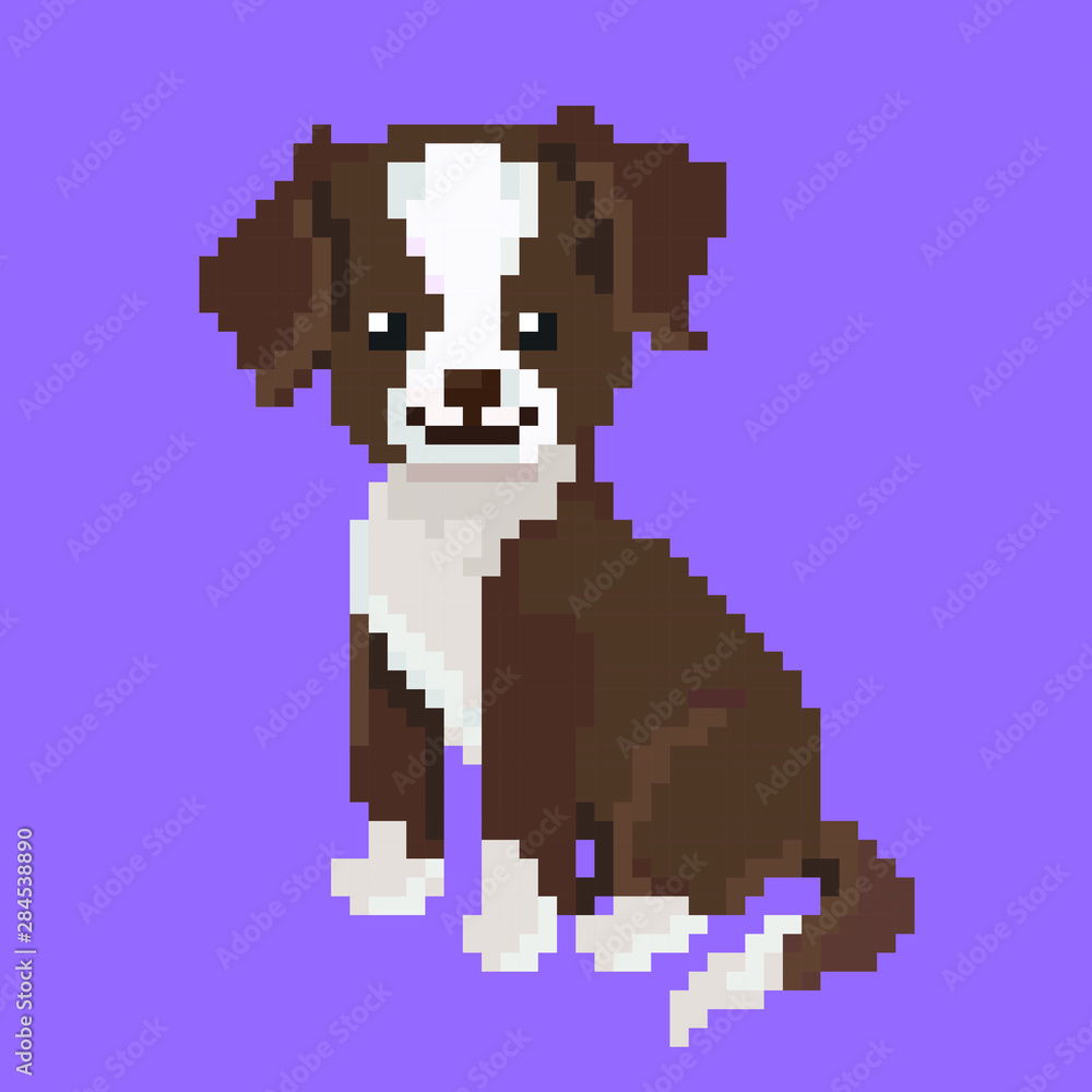 Fototapeta premium pixel graphics. happy dog. vector