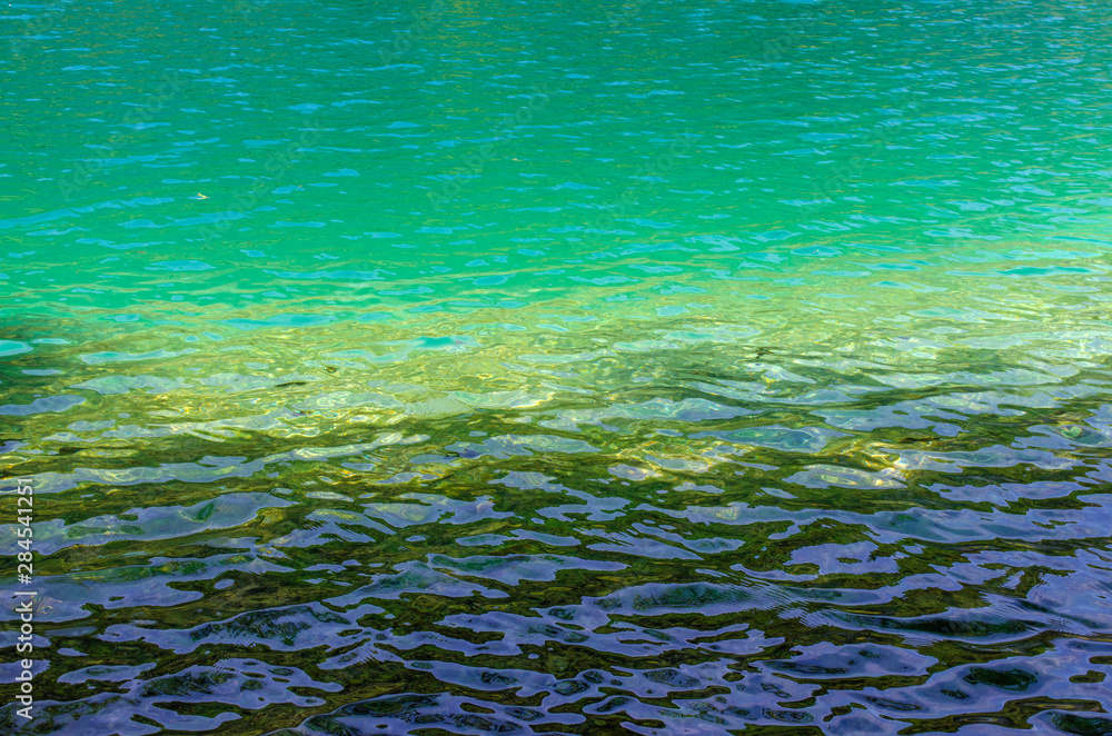Naklejka premium Clear water of Plitvice Lakes