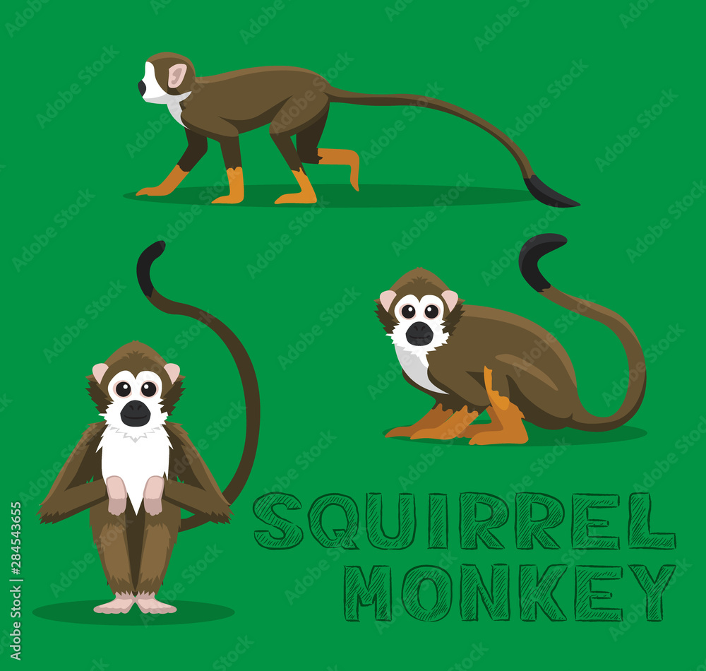 Squirrel Monkey Cartoon Vector Illustration Stock Vector Adobe Stock