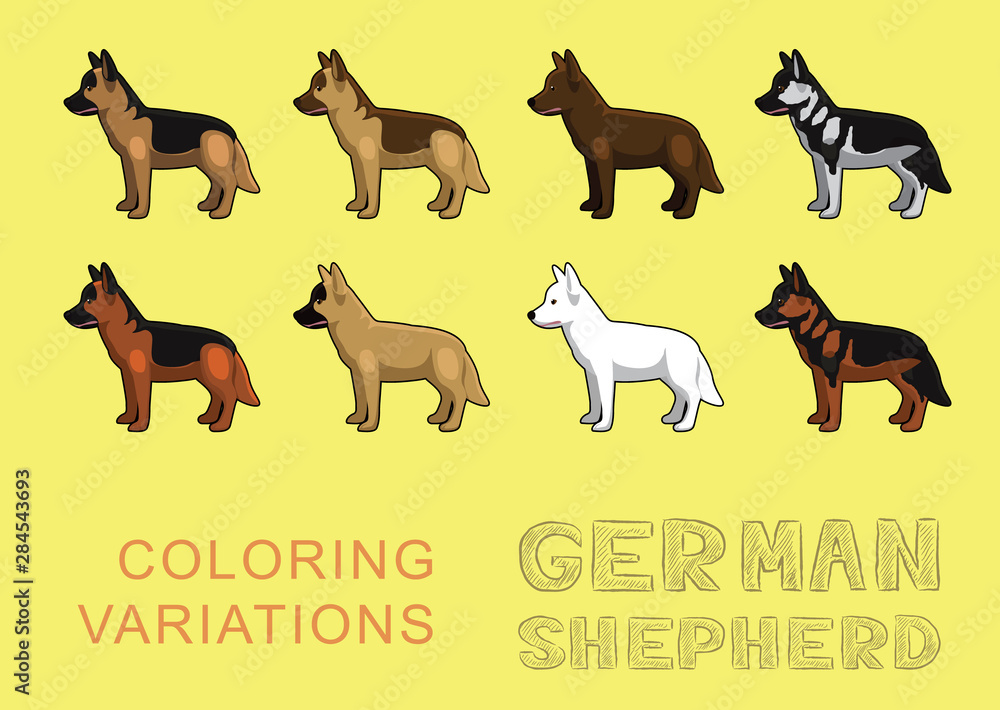 Dog German Shepherd Coloring Variations Vector Illustration