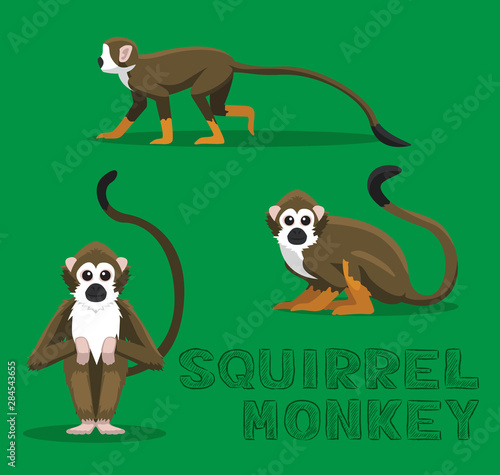 Squirrel Monkey Cartoon Vector Illustration