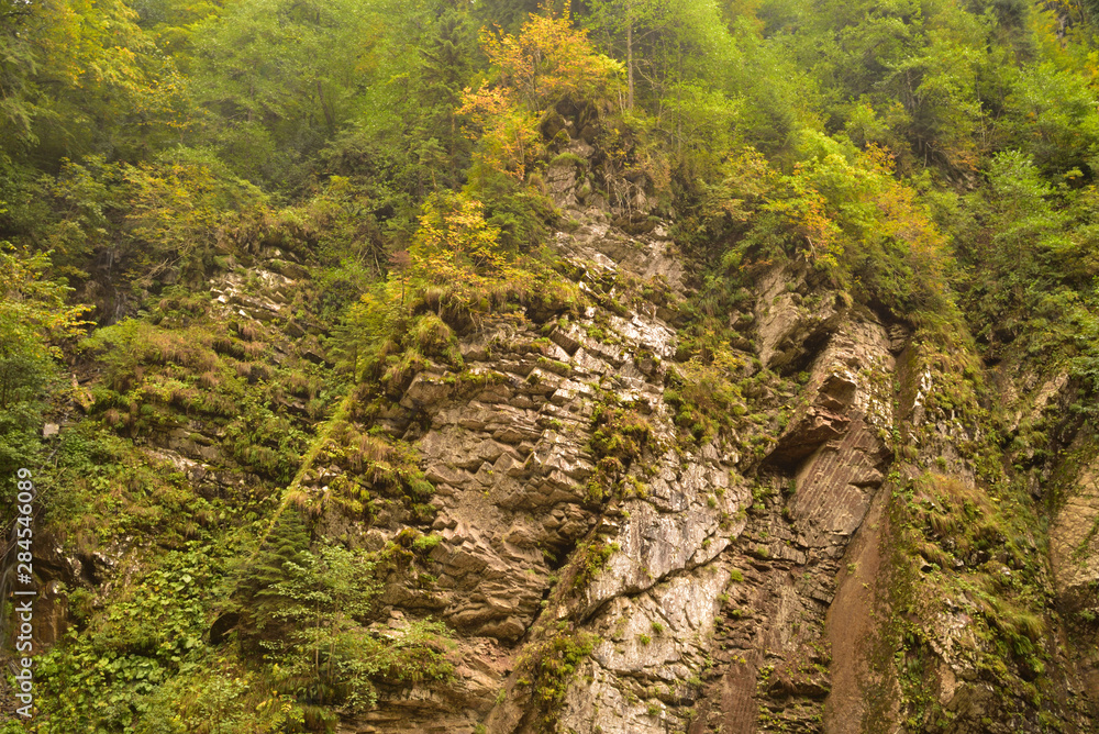 Fototapeta premium Autumn in the mountains of the Caucasus.