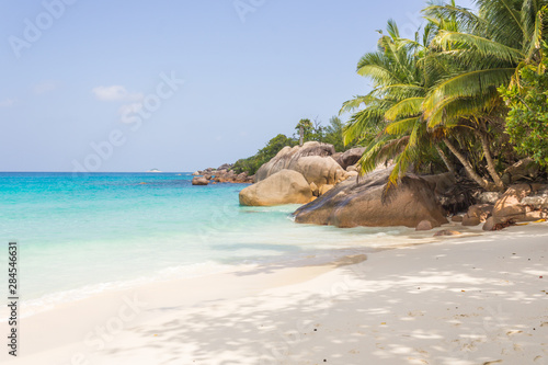 Beautiful beach with white sand and tree