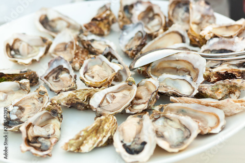 Raw fresh oysters in a white plate.