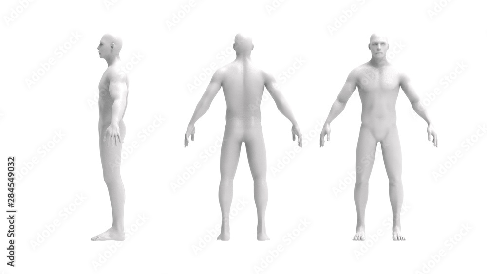 Human body 3d rendering of a human body isolated in white background Human body 3d rendering of a human body isolated in white background
