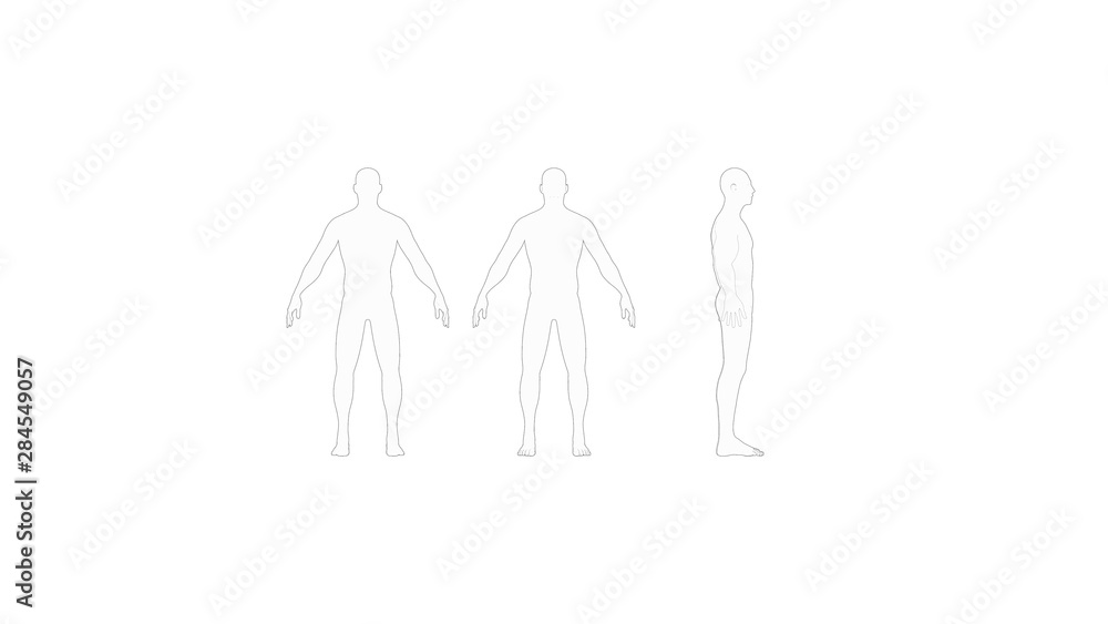 Human body 3d rendering of a human body isolated in white background Human body 3d rendering of a human body isolated in white background