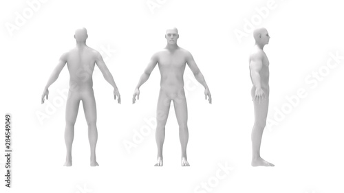 Human body 3d rendering of a human body isolated in white background