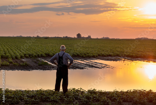 Foto Farmer standing beside pond in agricultural field