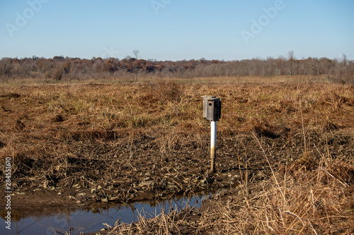 Slika na platnu late autumn view across the patuxent river shore at jug bay wetlands sanctuary i