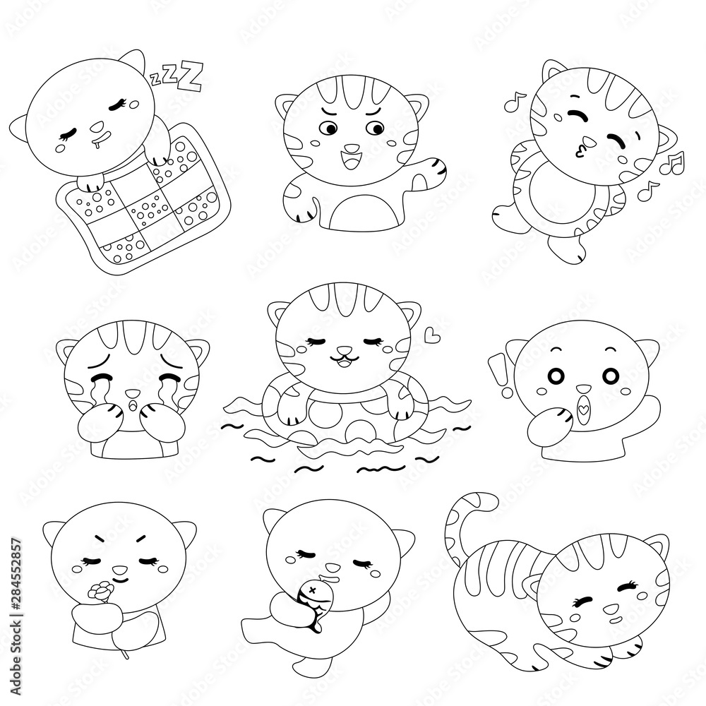 black and white version of cats expression in daily life