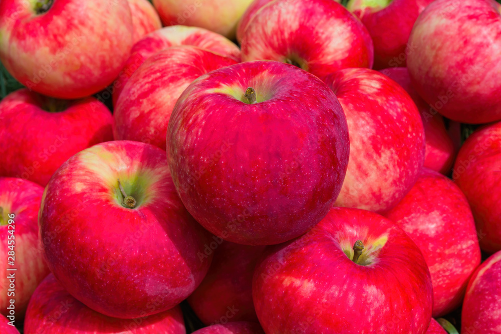 Heap of Apples. Background from ripe apples. Freshly harvested organic apples. Apples Red-yellow like a background. Apples close up. Heap of Apples. Background from ripe apples. Freshly harvested organic apples. Apples Red-yellow like a background. Apples close up.