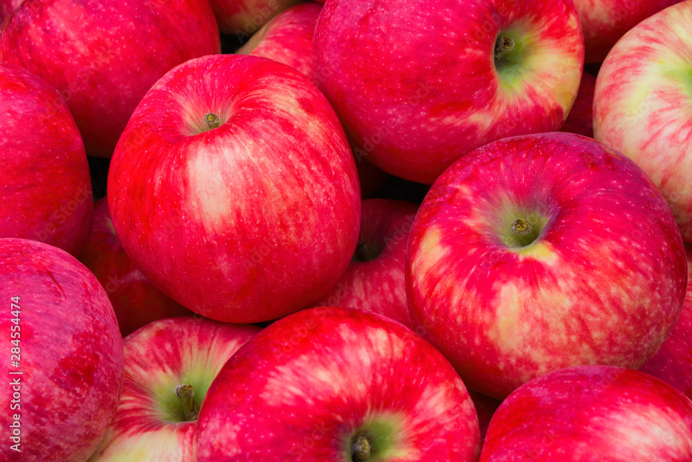Heap of Apples. Background from ripe apples. Freshly harvested organic apples. Apples Red-yellow like a background. Apples close up. Heap of Apples. Background from ripe apples. Freshly harvested organic apples. Apples Red-yellow like a background. Apples close up.